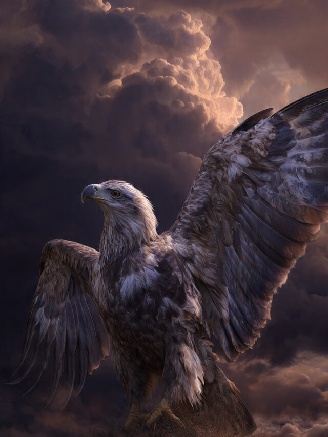 నూతన బలము పొందుదురు 🦅